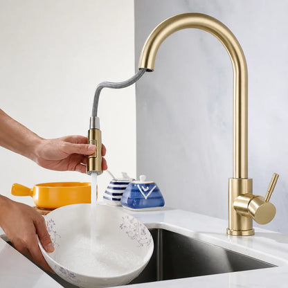 Single Handle Kitchen Sink Faucet with Pull-Down Sprayer Head