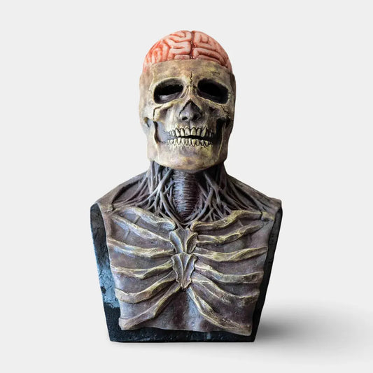 Skeleton Cosplay Mask with Movable Jaw - Halloween Accessory