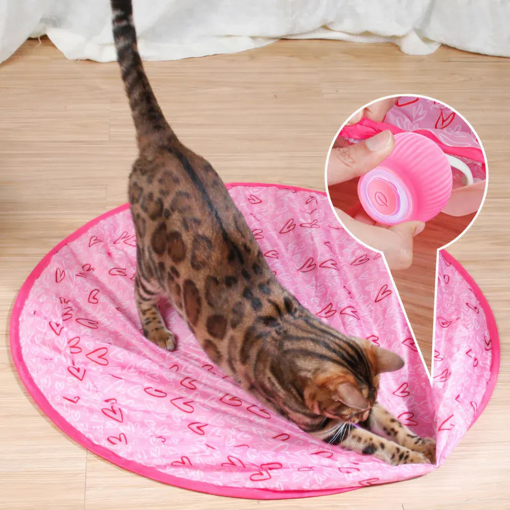 Smart Rolling Ball Interactive Indoor Cat Toy