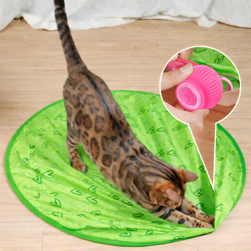 Smart Rolling Ball Interactive Indoor Cat Toy