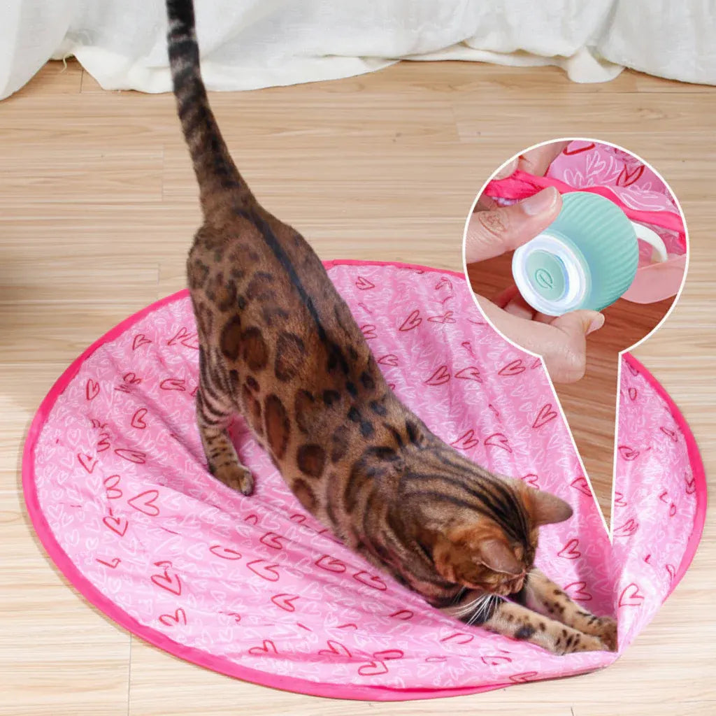 Smart Rolling Ball Interactive Indoor Cat Toy