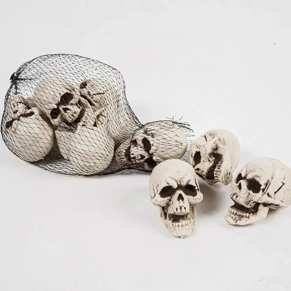 Spooky Skull Skeleton Halloween Home Decor Accent