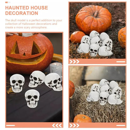 Spooky Skull Skeleton Halloween Home Decor Accent