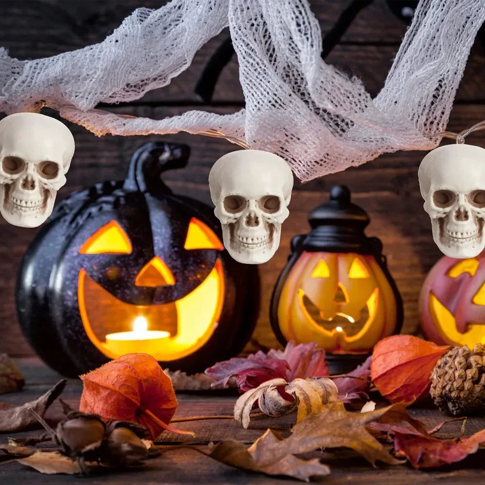 Spooky Skull Skeleton Halloween Home Decor Accent