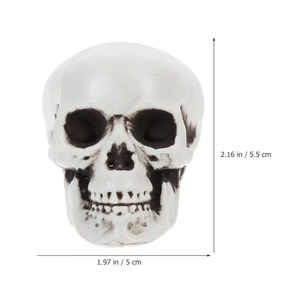Spooky Skull Skeleton Halloween Home Decor Accent