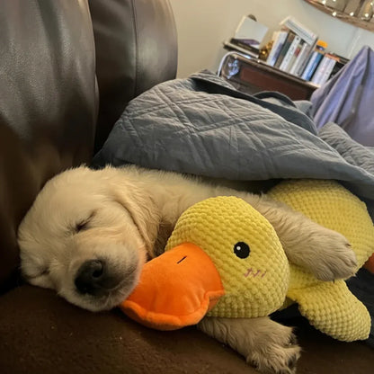 Squeaky Quacking Duck Chew Toy for Dogs - Soothing Play Companion