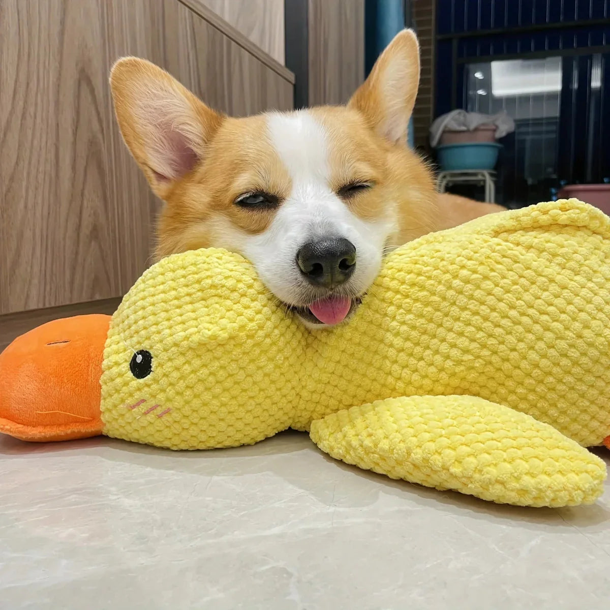 Squeaky Quacking Duck Chew Toy for Dogs - Soothing Play Companion