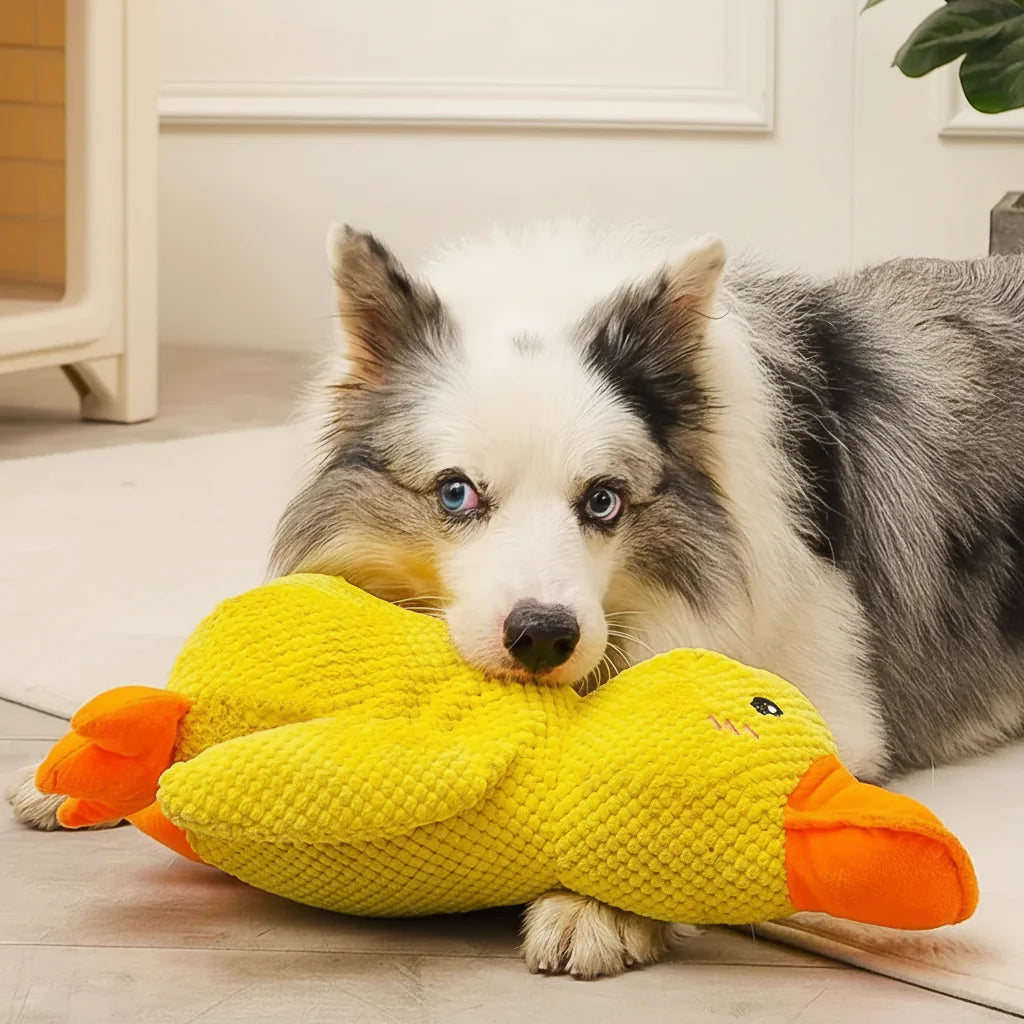 Squeaky Quacking Duck Chew Toy for Dogs - Soothing Play Companion