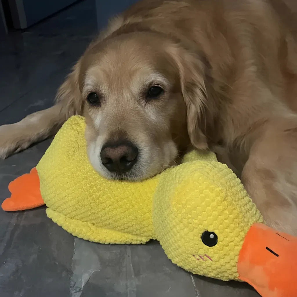 Squeaky Quacking Duck Chew Toy for Dogs - Soothing Play Companion