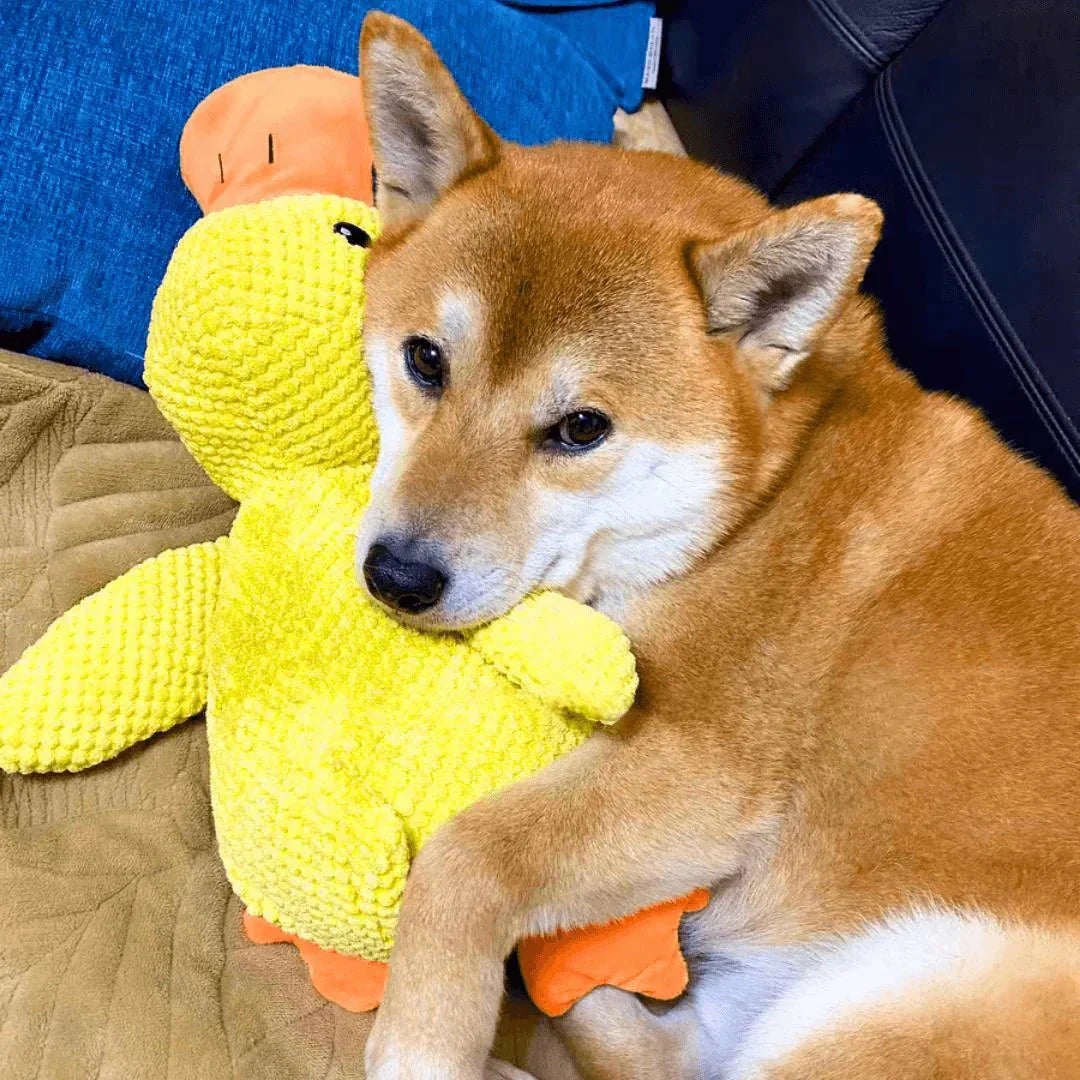Squeaky Quacking Duck Chew Toy for Dogs - Soothing Play Companion