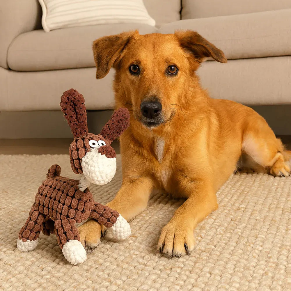 Squeaky Rope Chew Toy for Dogs