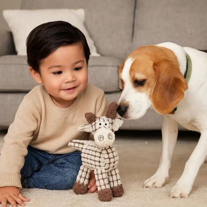 Squeaky Rope Chew Toy for Dogs