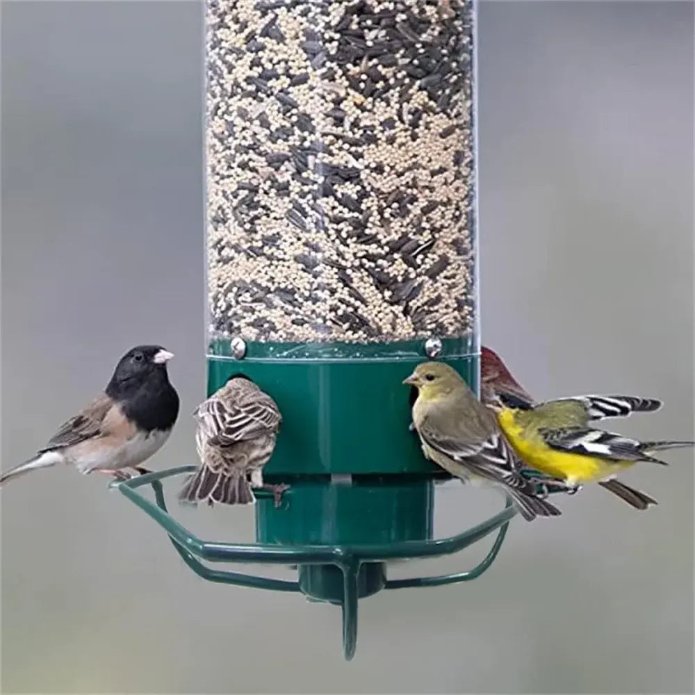 Squirrel-Resistant Metal Hanging Tube Bird Feeder for Outdoor Backyard