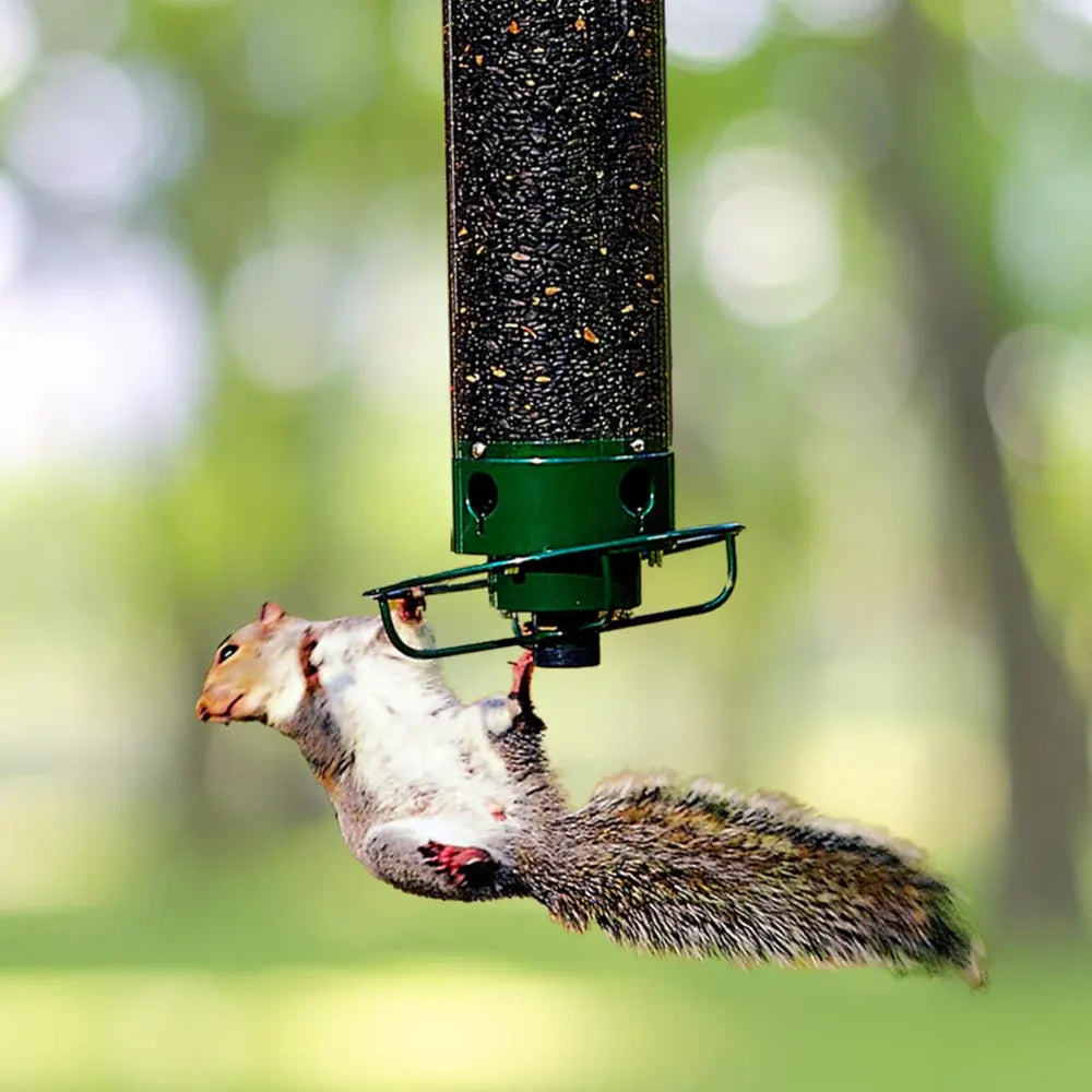 Squirrel-Resistant Metal Hanging Tube Bird Feeder for Outdoor Backyard