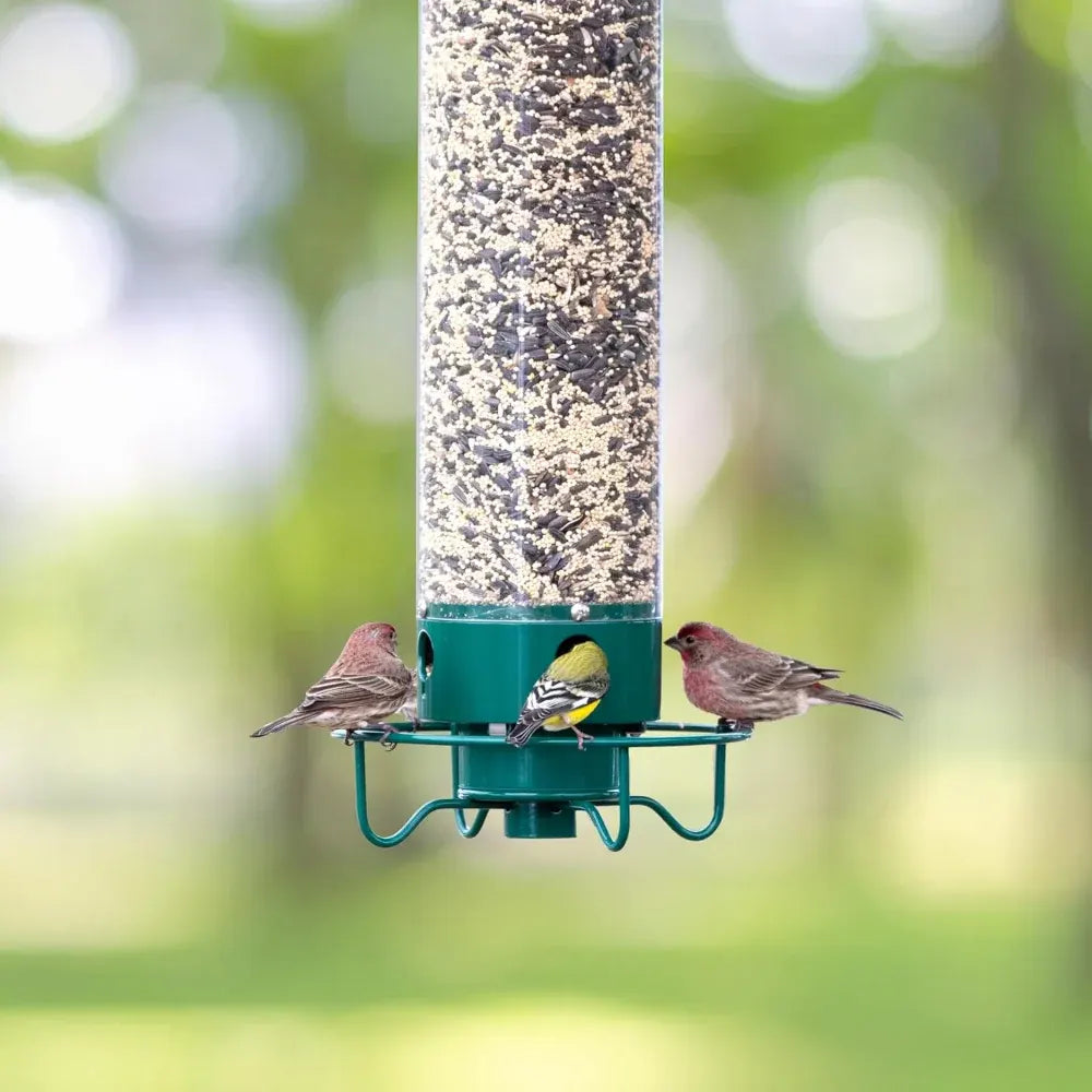 Squirrel-Resistant Metal Hanging Tube Bird Feeder for Outdoor Backyard