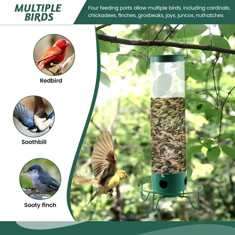 Squirrel-Resistant Metal Hanging Tube Feeder for Wild Birds