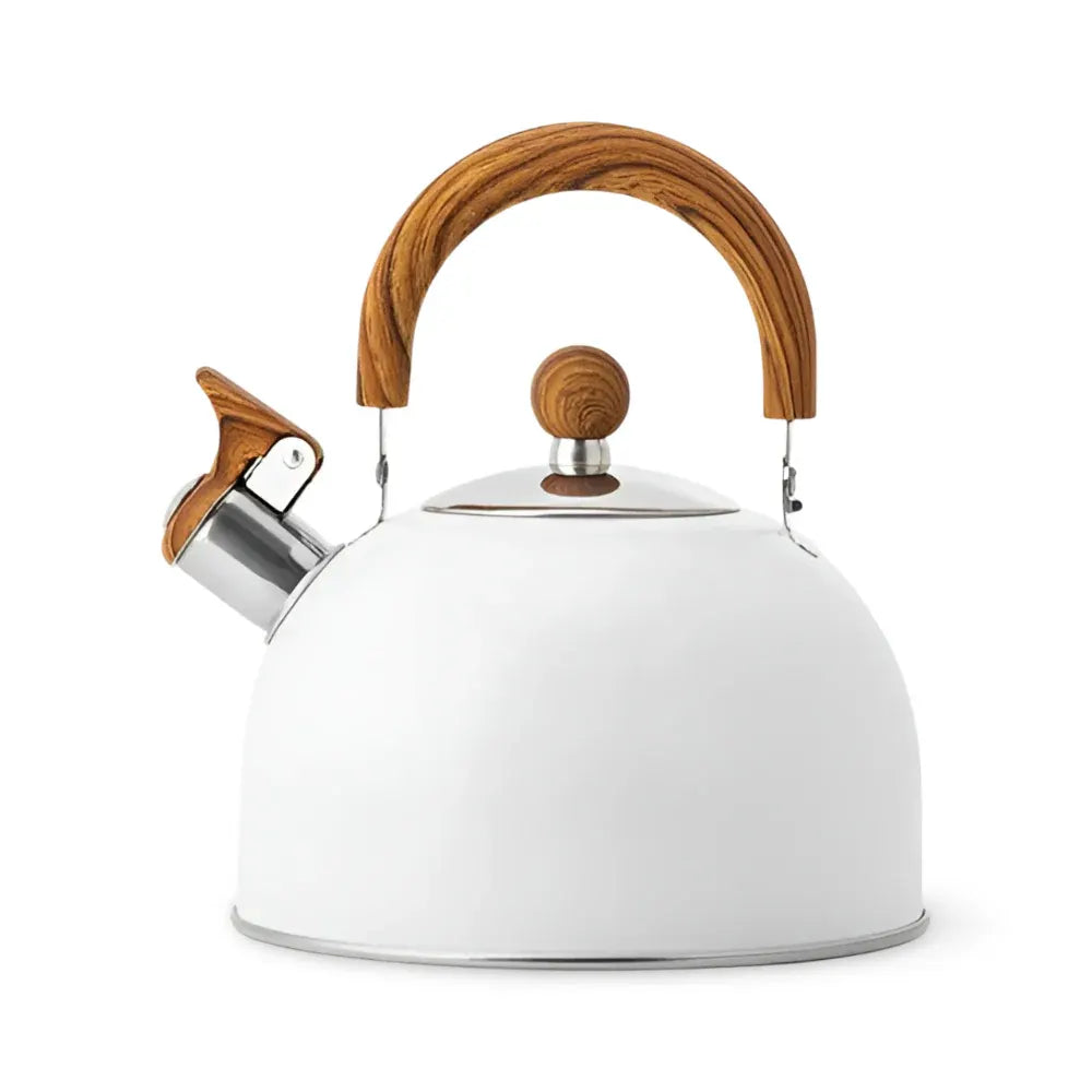 Stainless Steel Whistling Stovetop Tea Kettle