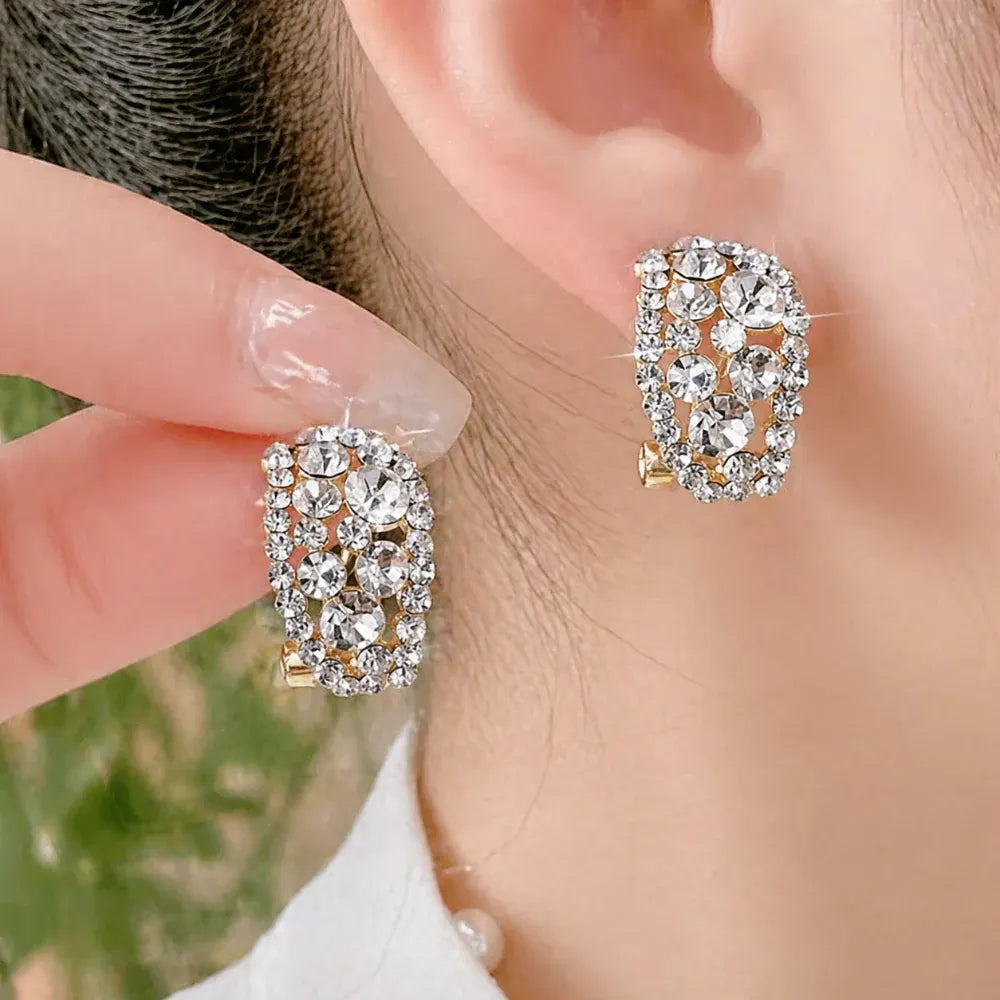 Sterling Alloy Diamond Hoop Earrings – Mother's Day Gift