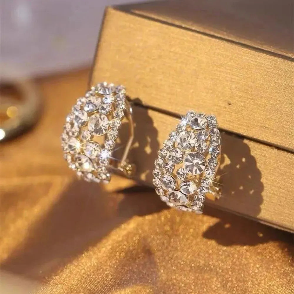 Sterling Alloy Diamond Hoop Earrings – Mother's Day Gift