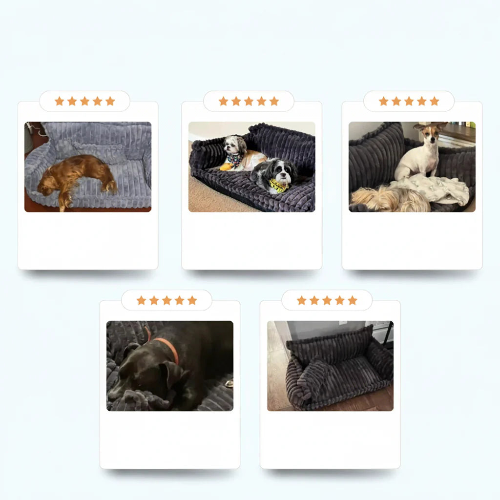Washable Raised-Edge Dog Sofa Bed for Large Dogs