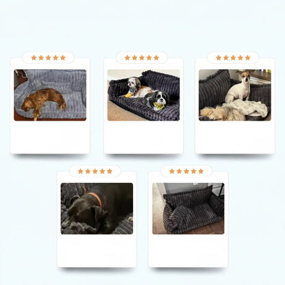 Washable Raised-Edge Dog Sofa Bed for Large Dogs