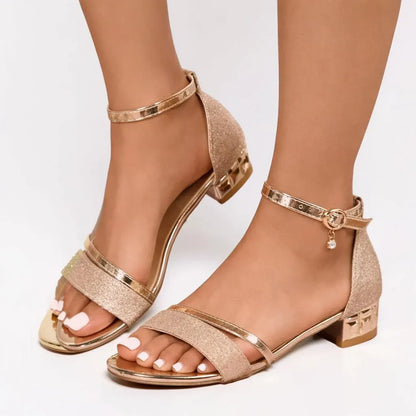 Women's Ankle-Strap Open-Toe Block Heel Casual Sandals