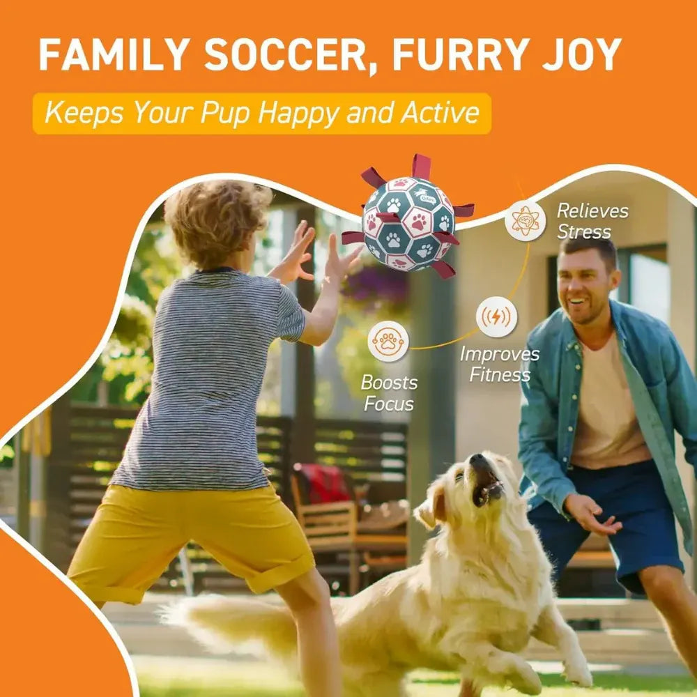 World Cup Durable Mesh Rope Grip Ball Interactive Dog Toy